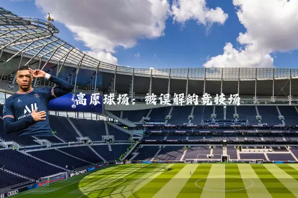 高原球场：被误解的竞技场